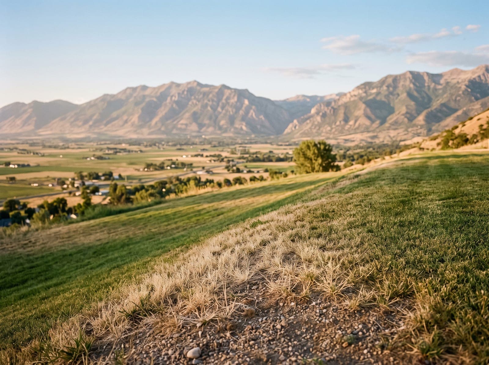 Bench-to-valley mix on a Cache Valley lawn near Millville, Utah