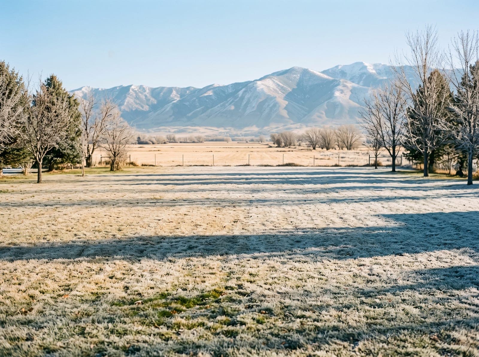 Short northern season on a Cache Valley lawn near Cornish, Utah